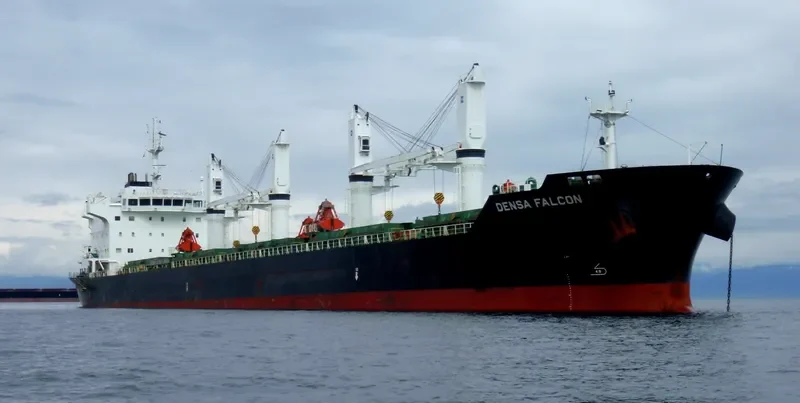 DENSA FALCON Bulk Carrier IMO 9649081 photo 3
