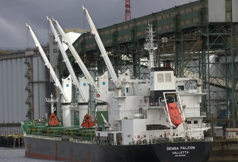 DENSA FALCON Bulk Carrier IMO 9649081 photo 4