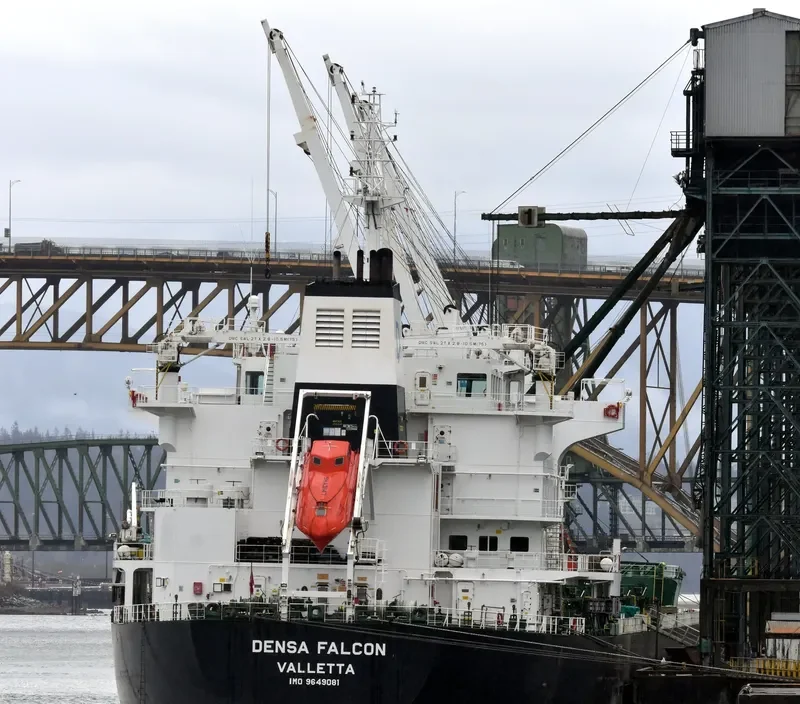 DENSA FALCON Bulk Carrier IMO 9649081 photo 5