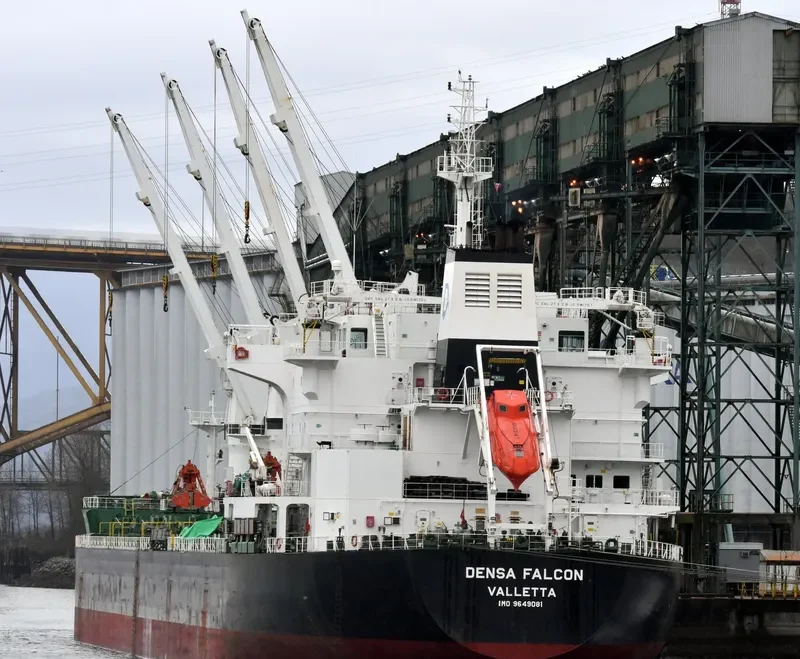 DENSA FALCON Bulk Carrier IMO 9649081 photo 6