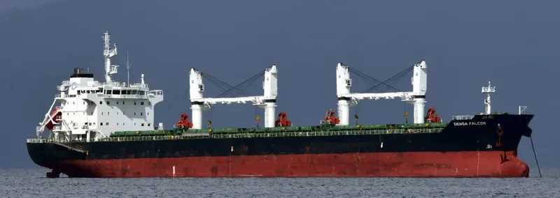DENSA FALCON Bulk Carrier IMO 9649081 photo 7