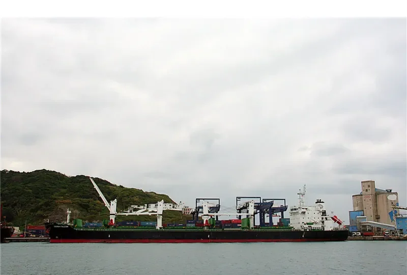 DENSA FALCON Bulk Carrier IMO 9649081 photo 8