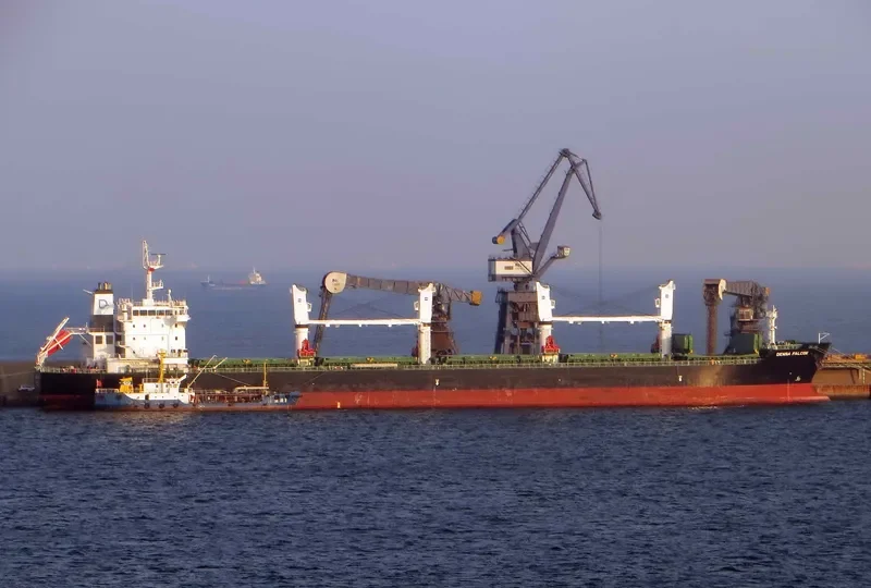 DENSA FALCON Bulk Carrier IMO 9649081 photo 10