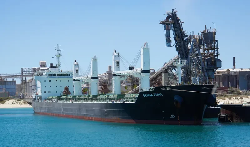 DENSA PUMA Bulk Carrier IMO 9649108 photo 2