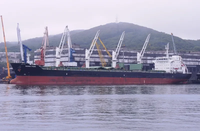 DENSA PUMA Bulk Carrier IMO 9649108 photo 3