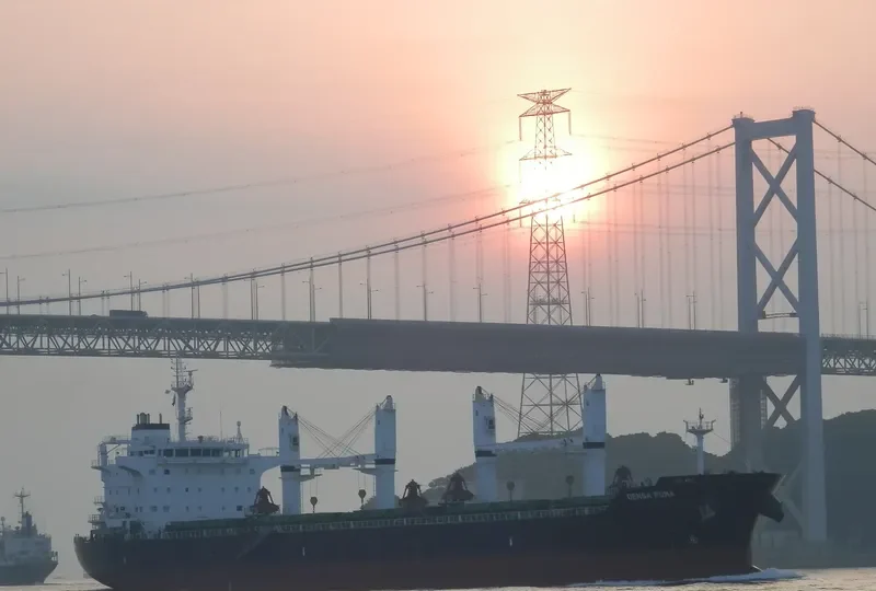 DENSA PUMA Bulk Carrier IMO 9649108 photo 4
