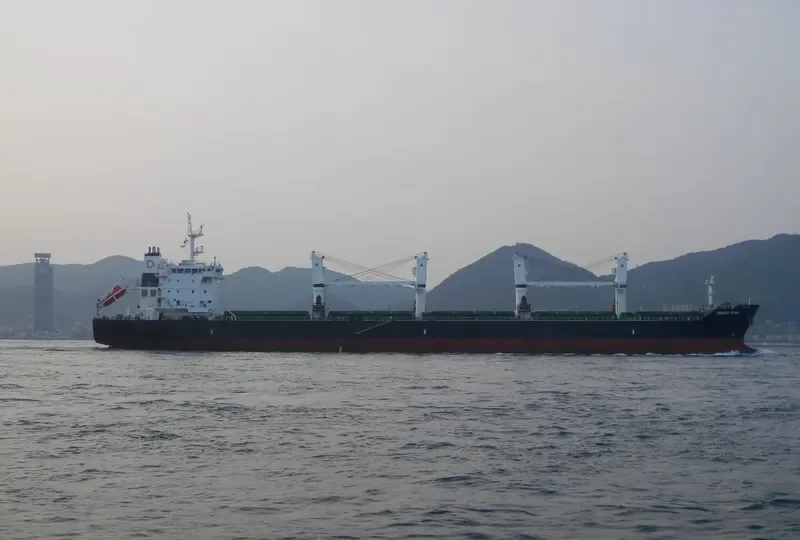 DENSA PUMA Bulk Carrier IMO 9649108 photo 5