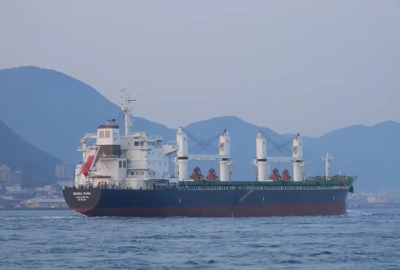 DENSA PUMA Bulk Carrier IMO 9649108 photo 6