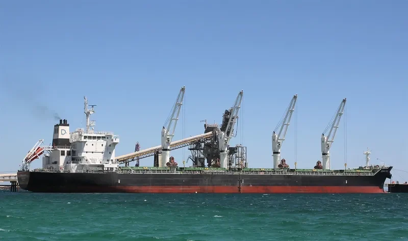 DENSA PUMA Bulk Carrier IMO 9649108 photo 7
