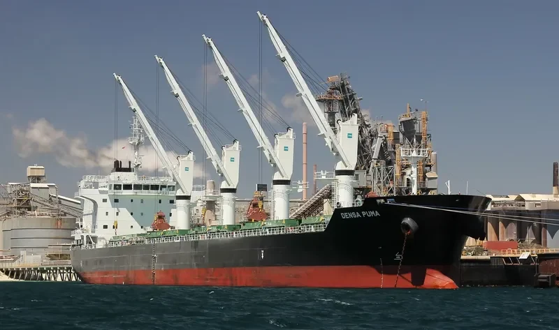 DENSA PUMA Bulk Carrier IMO 9649108 photo 8