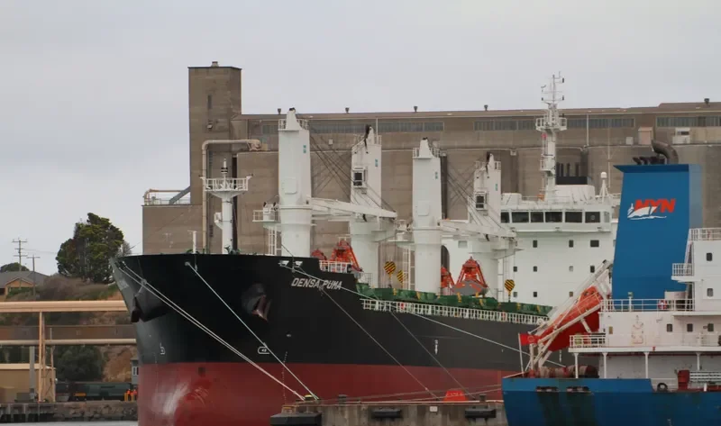 DENSA PUMA Bulk Carrier IMO 9649108 photo 9