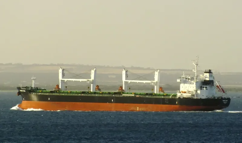 DENSA PUMA Bulk Carrier IMO 9649108 photo 10