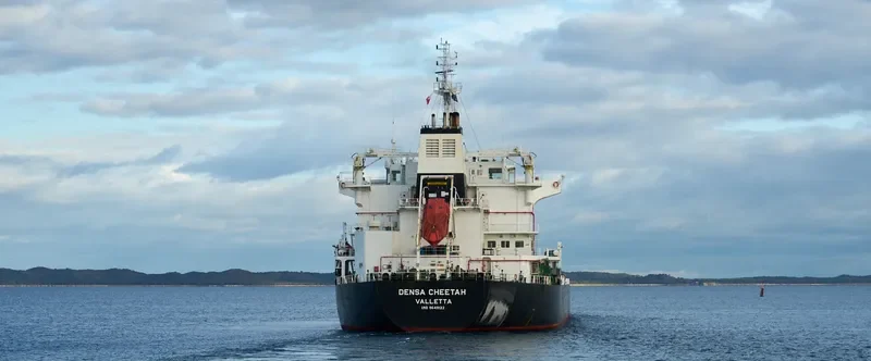 DENSA CHEETAH Bulk Carrier IMO 9649122