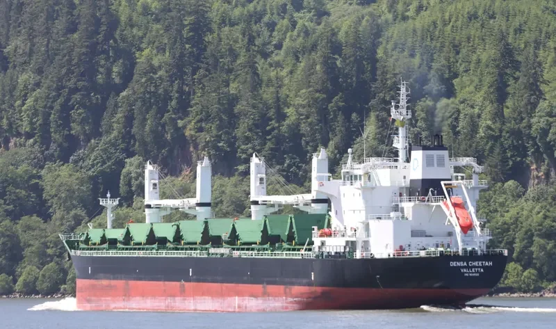 DENSA CHEETAH Bulk Carrier IMO 9649122 photo 6