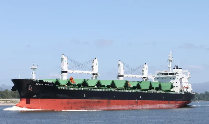 DENSA CHEETAH Bulk Carrier IMO 9649122 photo 7