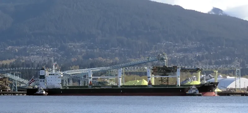 DENSA CHEETAH Bulk Carrier IMO 9649122 photo 8