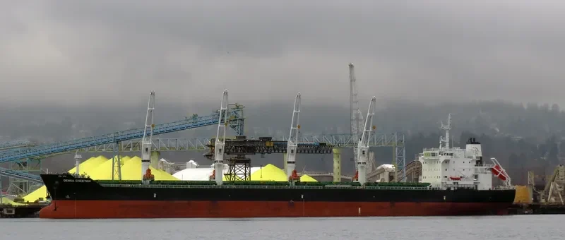 DENSA CHEETAH Bulk Carrier IMO 9649122 photo 10
