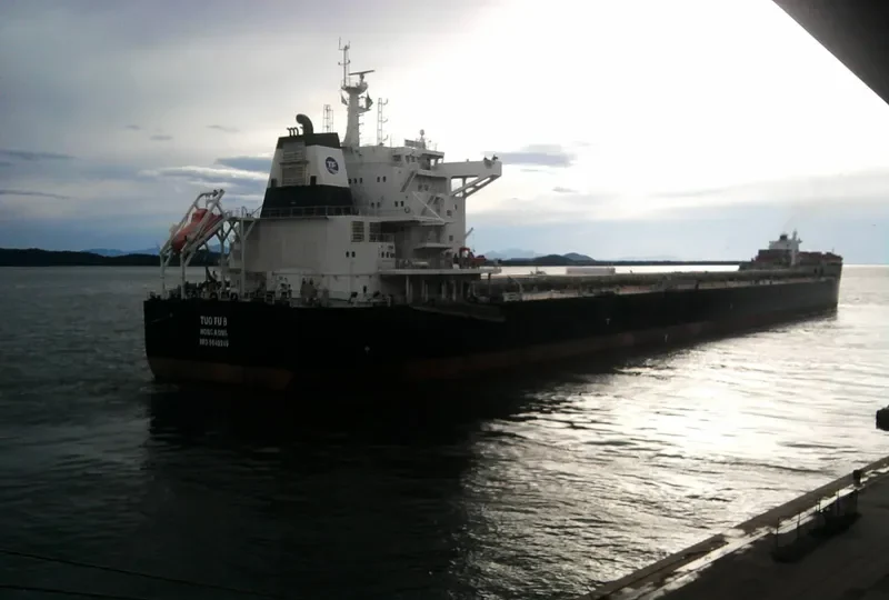 TUO FU 8 Bulk Carrier IMO 9649249