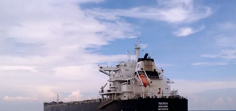 TUO FU 8 Bulk Carrier IMO 9649249 photo 6