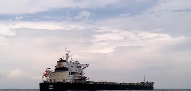 TUO FU 8 Bulk Carrier IMO 9649249 photo 7