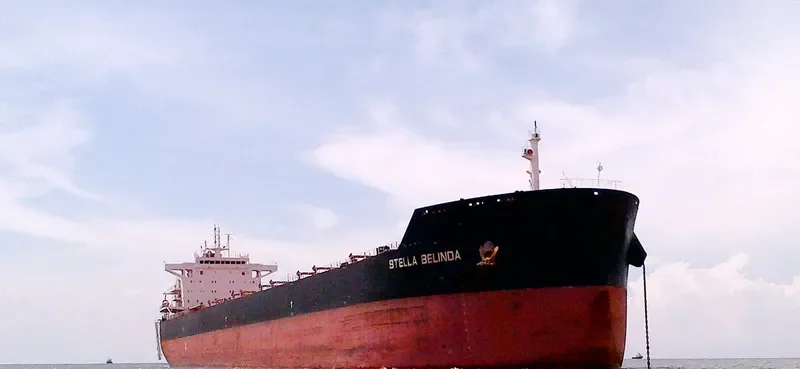STELLA BELINDA Bulk Carrier IMO 9649299 photo 2