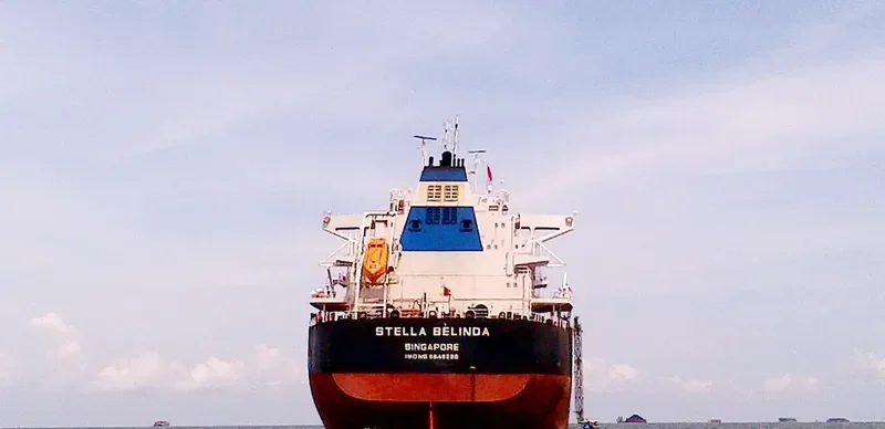 STELLA BELINDA Bulk Carrier IMO 9649299 photo 3