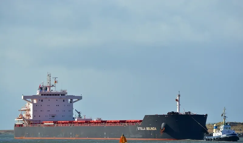 STELLA BELINDA Bulk Carrier IMO 9649299 photo 9