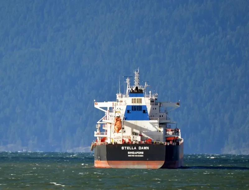 CL DALIAN Bulk Carrier IMO 9649304 photo 3