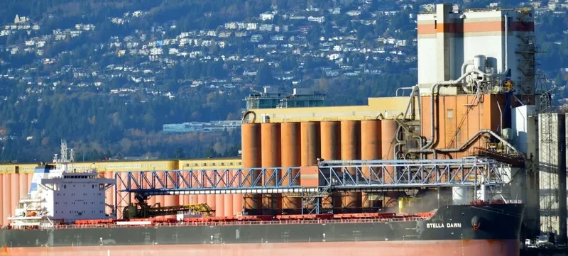 CL DALIAN Bulk Carrier IMO 9649304 photo 4