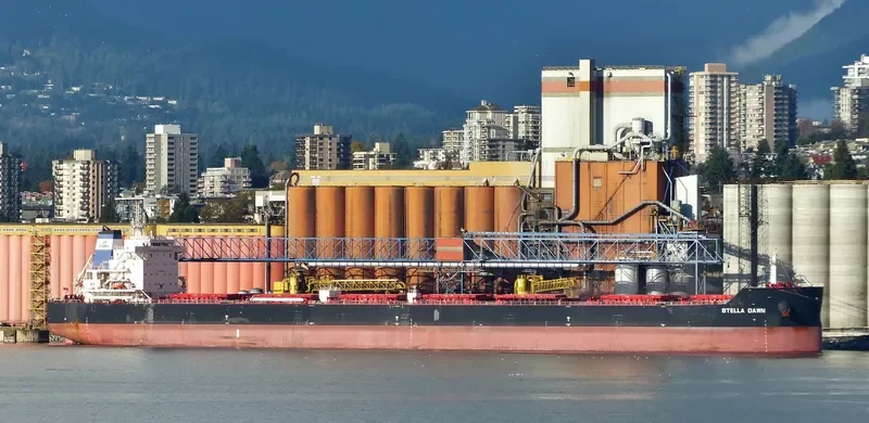 CL DALIAN Bulk Carrier IMO 9649304 photo 5