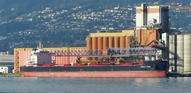 CL DALIAN Bulk Carrier IMO 9649304 photo 6