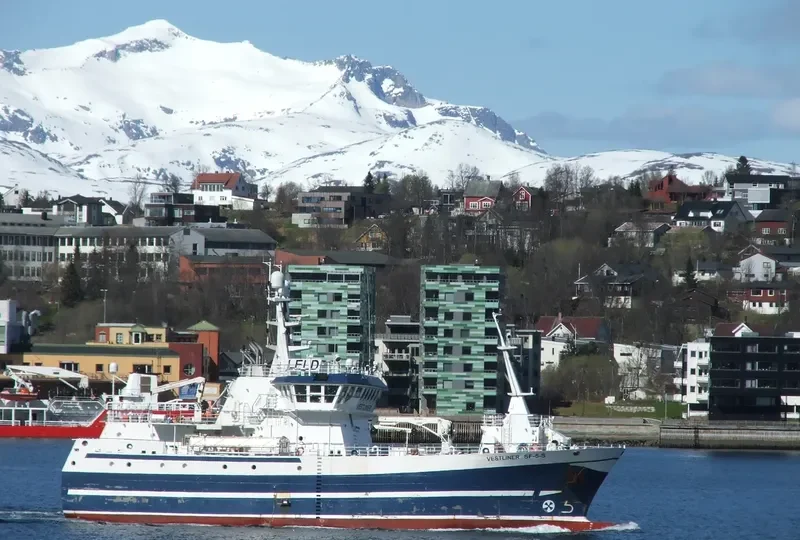 VESTLINER General Cargo IMO 9649366