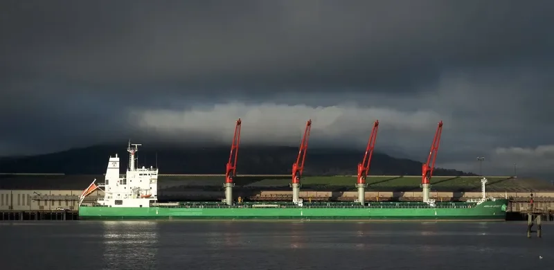 ARKLOW SPIRIT Bulk Carrier IMO 9649536