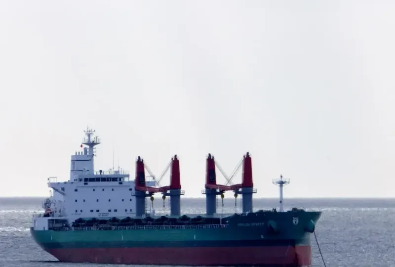 ARKLOW SPIRIT Bulk Carrier IMO 9649536 photo 3