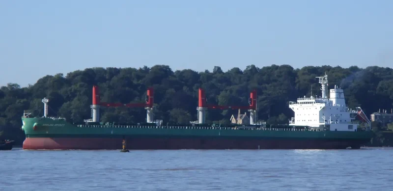 ARKLOW SPIRIT Bulk Carrier IMO 9649536 photo 10