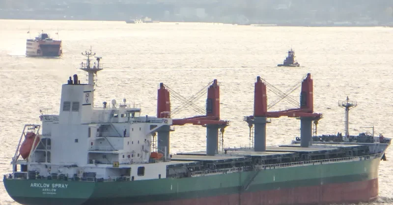 ARKLOW SPRAY Bulk Carrier IMO 9649548