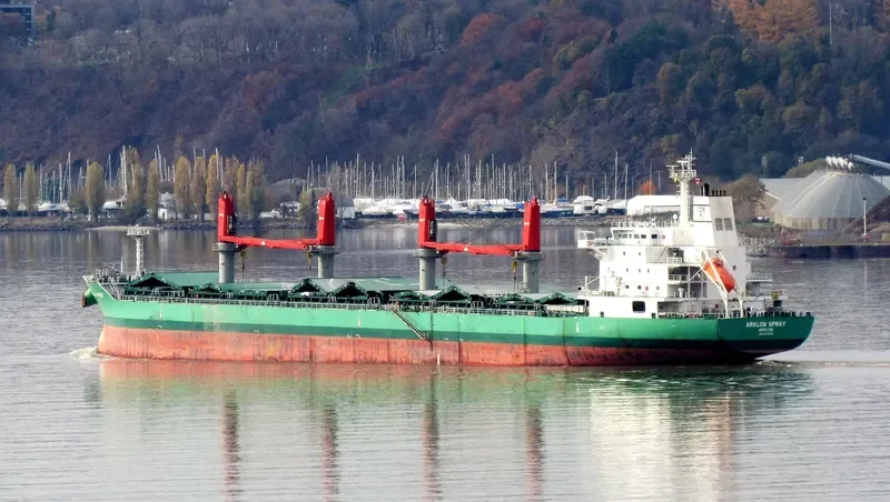 ARKLOW SPRAY Bulk Carrier IMO 9649548 photo 2