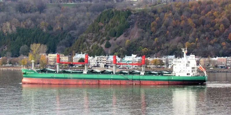 ARKLOW SPRAY Bulk Carrier IMO 9649548 photo 3
