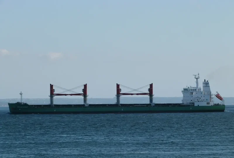 ARKLOW SPRAY Bulk Carrier IMO 9649548 photo 8