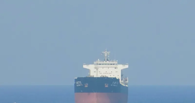 DA TANG 712 Bulk Carrier IMO 9649691