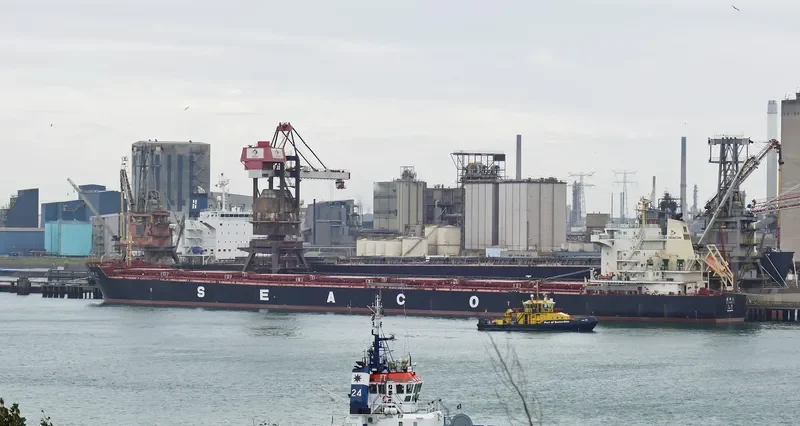 HUI XIN 9 Bulk Carrier IMO 9649706 photo 4