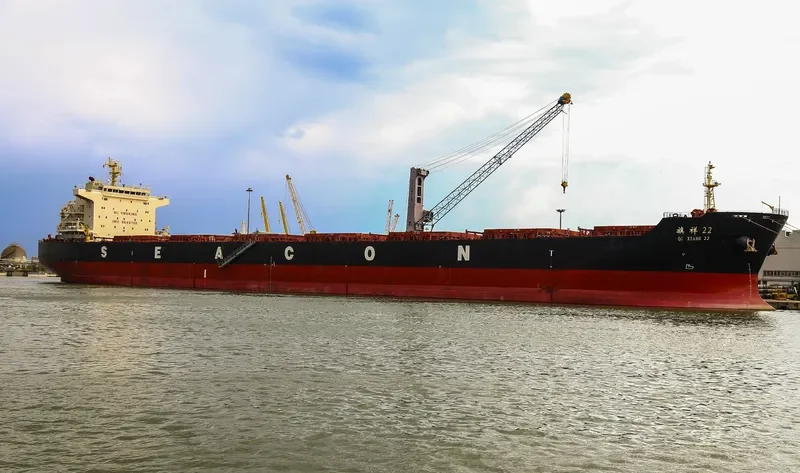 HUI XIN 9 Bulk Carrier IMO 9649706 photo 8
