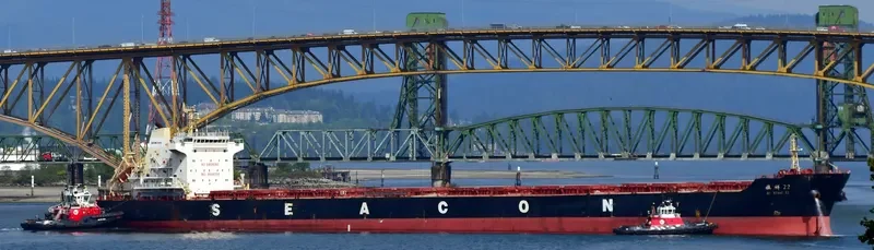 HUI XIN 9 Bulk Carrier IMO 9649706 photo 10