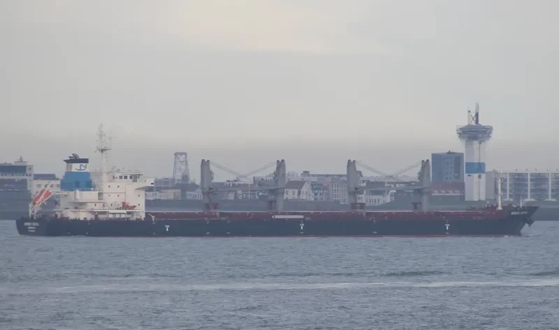NORDIC SEOUL Bulk Carrier IMO 9649861 photo 4