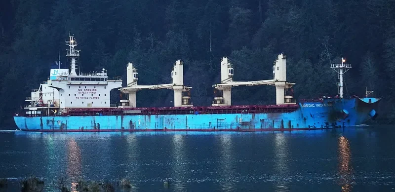 NORDIC INCHEON Bulk Carrier IMO 9649873 photo 6