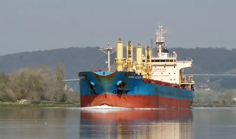 NORDIC INCHEON Bulk Carrier IMO 9649873 photo 7