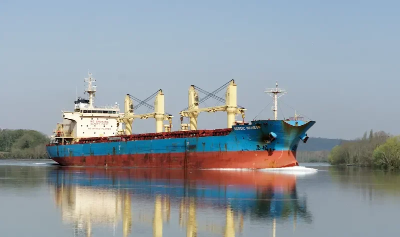 NORDIC INCHEON Bulk Carrier IMO 9649873 photo 8