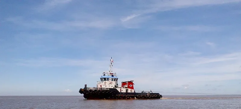 TB.CAMELLIA General Cargo IMO 9649952 photo 2
