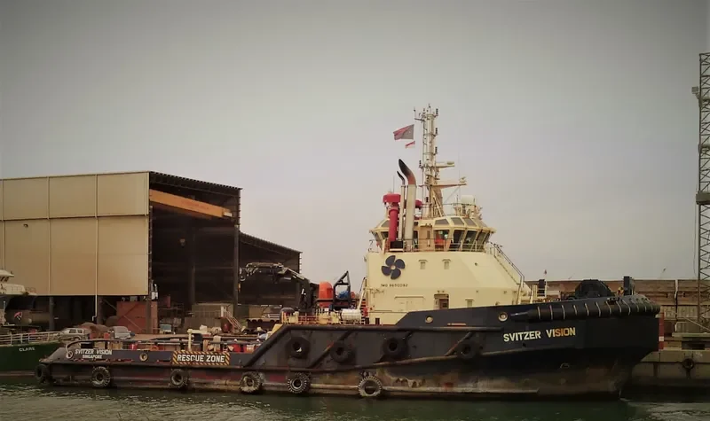 SVITZER VISION General Cargo IMO 9650092