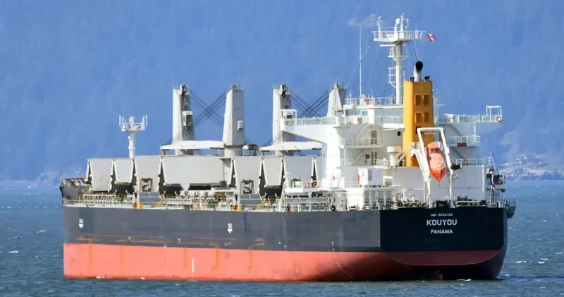 SHENG YANG Bulk Carrier IMO 9650133